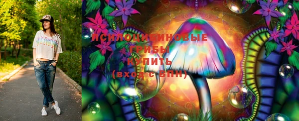соль ск Арсеньев